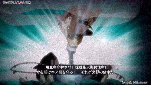 水门最新爆料事件视频,揭秘最新爆料视频背后的惊人真相 第3张 水门最新爆料事件视频,揭秘最新爆料视频背后的惊人真相 第3张